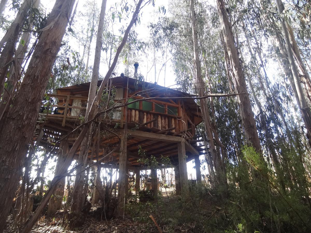 Cabanas Curi-Huapi Isla Negra Exterior photo