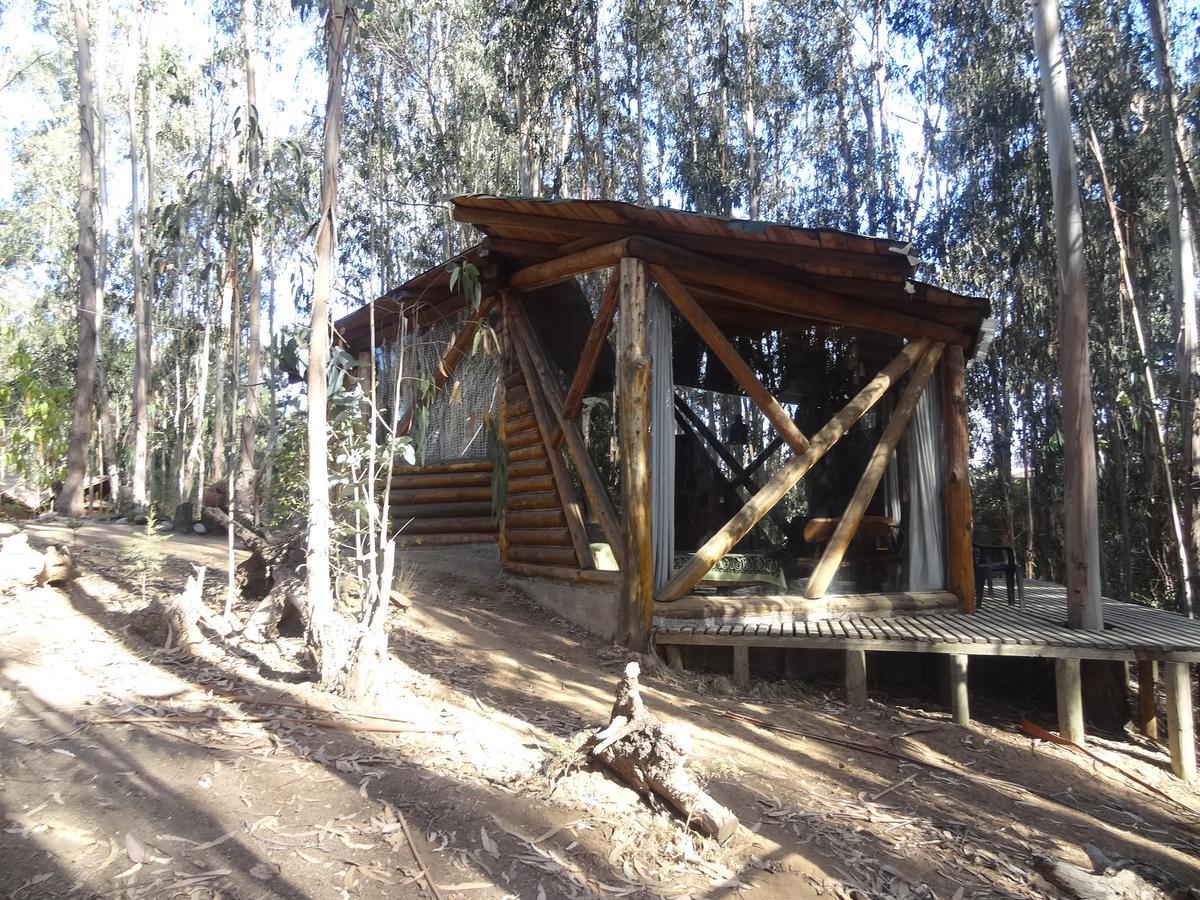 Cabanas Curi-Huapi Isla Negra Exterior photo