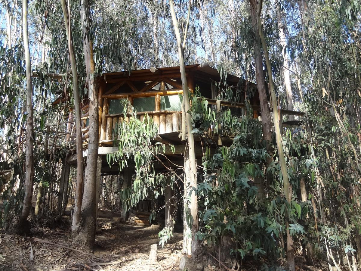 Cabanas Curi-Huapi Isla Negra Exterior photo